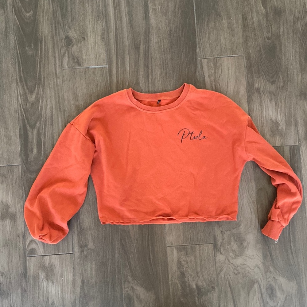 EUC Ptula cropped sweatshirt
